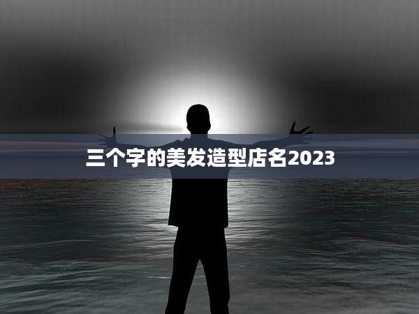 三个字的美发造型店名2023