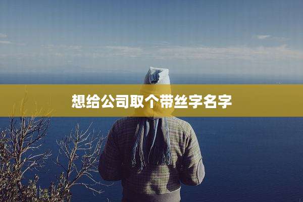 想给公司取个带丝字名字