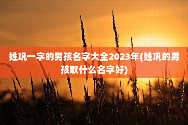 姓巩一字的男孩名字大全2023年(姓巩的男孩取什么名字好)