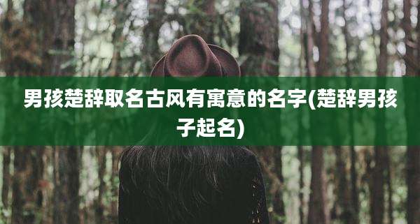 男孩楚辞取名古风有寓意的名字(楚辞男孩子起名)
