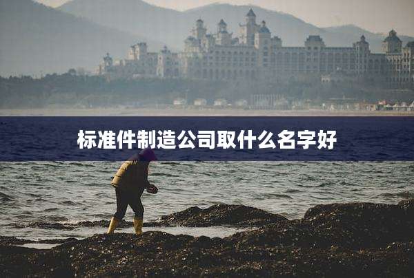 标准件制造公司取什么名字好