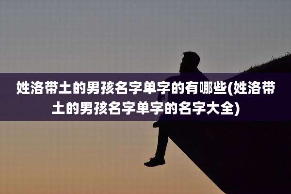 姓洛带土的男孩名字单字的有哪些(姓洛带土的男孩名字单字的名字大全)