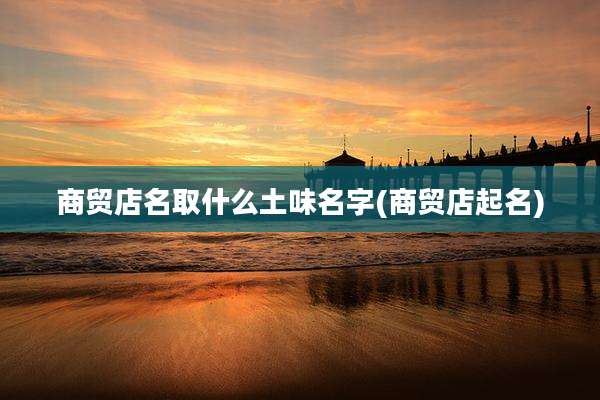商贸店名取什么土味名字(商贸店起名)