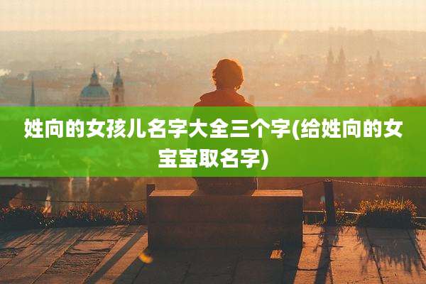 姓向的女孩儿名字大全三个字(给姓向的女宝宝取名字)