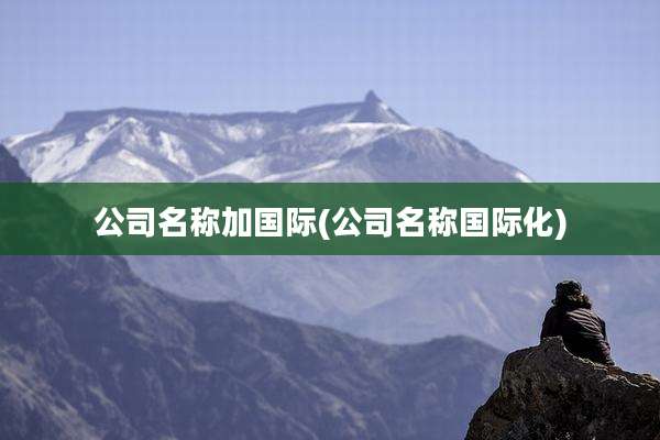 公司名称加国际(公司名称国际化)
