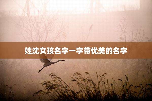 姓沈女孩名字一字带优美的名字