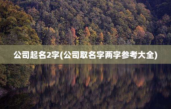 公司起名2字(公司取名字两字参考大全)