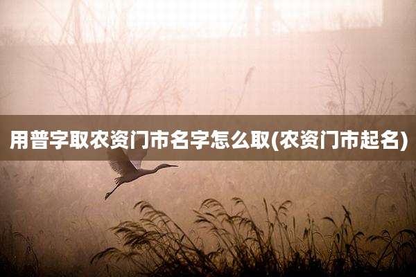 用普字取农资门市名字怎么取(农资门市起名)