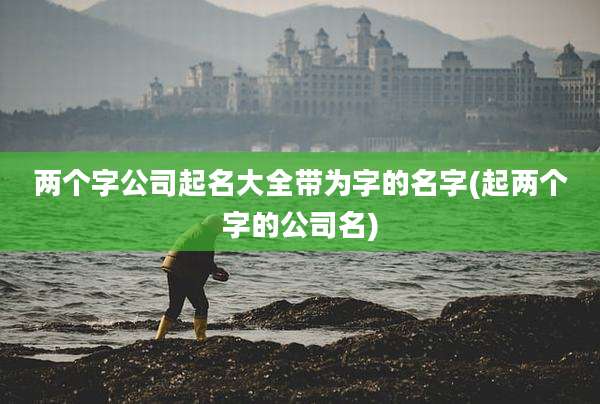 两个字公司起名大全带为字的名字(起两个字的公司名)