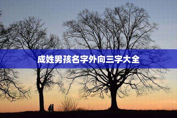 成姓男孩名字外向三字大全