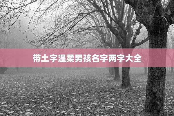 带土字温柔男孩名字两字大全