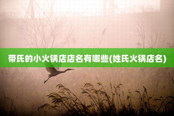 带氏的小火锅店店名有哪些(姓氏火锅店名)