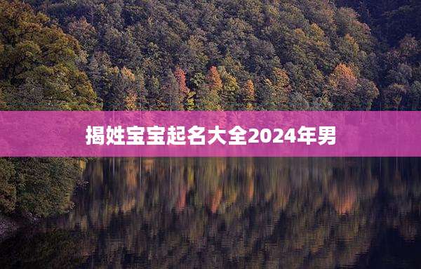 揭姓宝宝起名大全2024年男