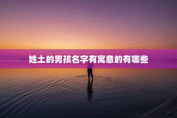 姓土的男孩名字有寓意的有哪些