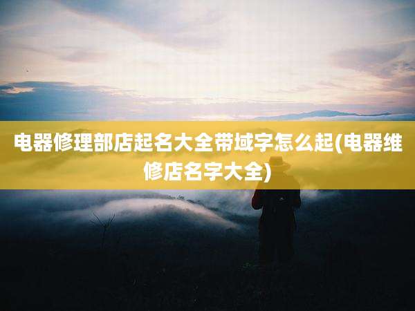 电器修理部店起名大全带域字怎么起(电器维修店名字大全)