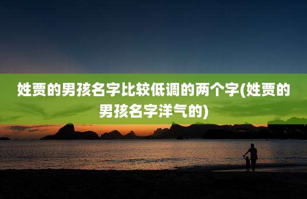 姓贾的男孩名字比较低调的两个字(姓贾的男孩名字洋气的)