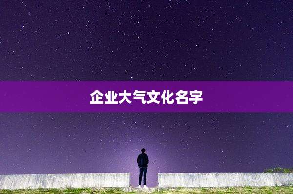 企业大气文化名字
