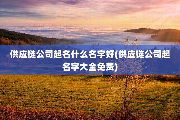 供应链公司起名什么名字好(供应链公司起名字大全免费)