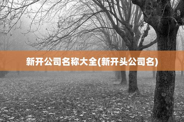 新开公司名称大全(新开头公司名)
