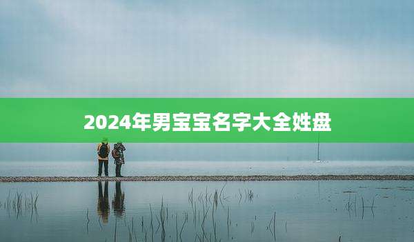 2024年男宝宝名字大全姓盘