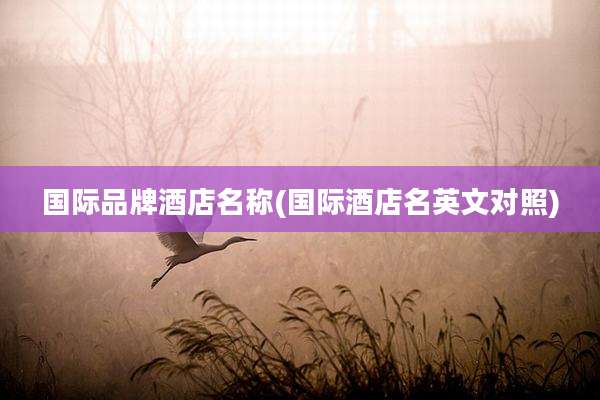 国际品牌酒店名称(国际酒店名英文对照)