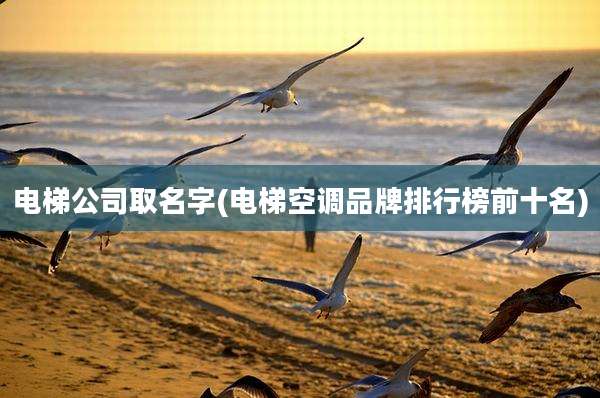电梯公司取名字(电梯空调品牌排行榜前十名)