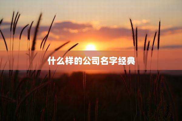 什么样的公司名字经典