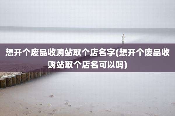 想开个废品收购站取个店名字(想开个废品收购站取个店名可以吗)