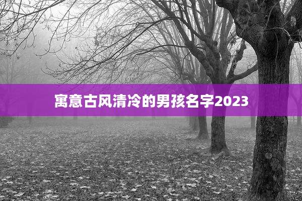 寓意古风清冷的男孩名字2023