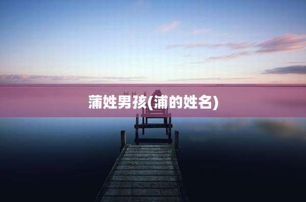 蒲姓男孩(浦的姓名)