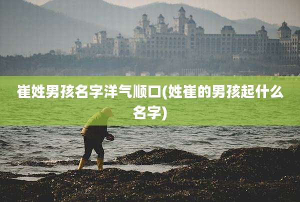 崔姓男孩名字洋气顺口(姓崔的男孩起什么名字)