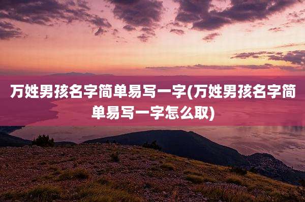 万姓男孩名字简单易写一字(万姓男孩名字简单易写一字怎么取)