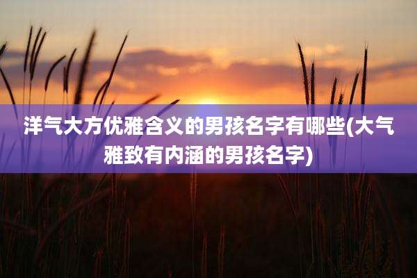 洋气大方优雅含义的男孩名字有哪些(大气雅致有内涵的男孩名字)