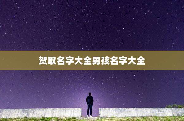 贺取名字大全男孩名字大全