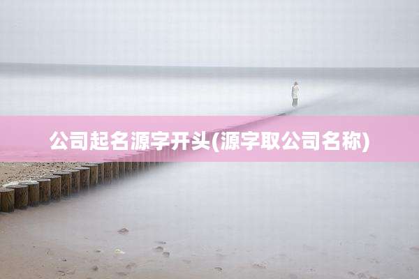 公司起名源字开头(源字取公司名称)