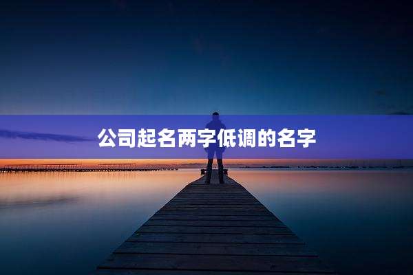 公司起名两字低调的名字