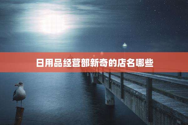 日用品经营部新奇的店名哪些