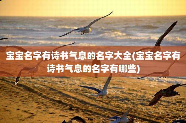 宝宝名字有诗书气息的名字大全(宝宝名字有诗书气息的名字有哪些)