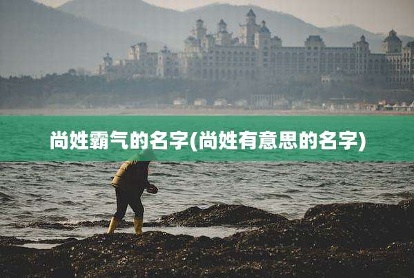 尚姓霸气的名字(尚姓有意思的名字)