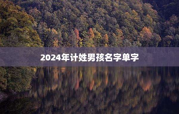 2024年计姓男孩名字单字