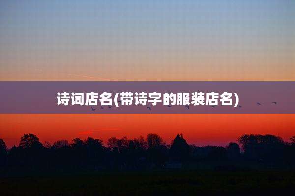 诗词店名(带诗字的服装店名)