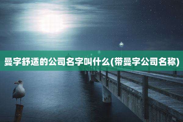 曼字舒适的公司名字叫什么(带曼字公司名称)