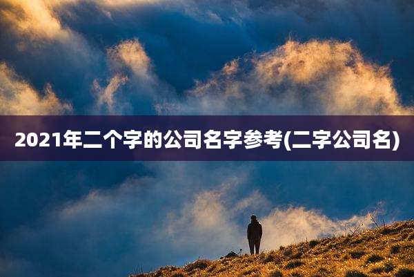 2021年二个字的公司名字参考(二字公司名)