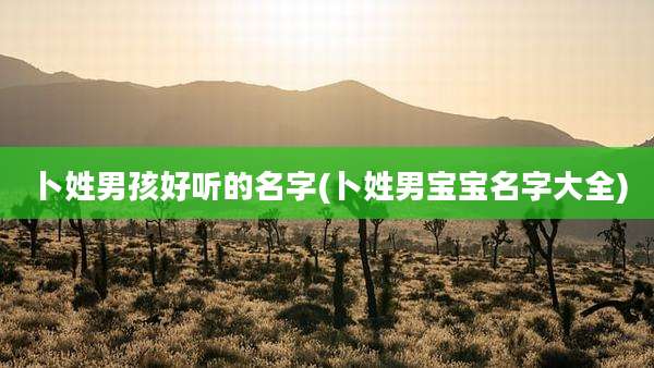 卜姓男孩好听的名字(卜姓男宝宝名字大全)