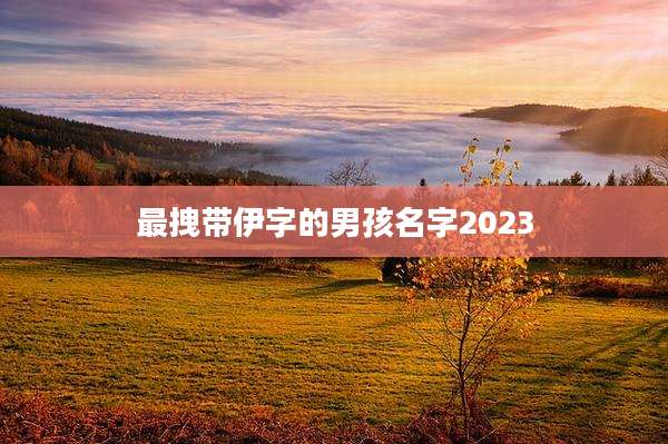 最拽带伊字的男孩名字2023