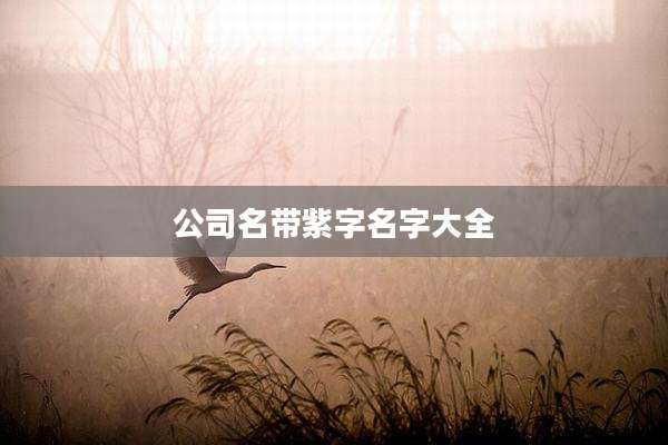公司名带紫字名字大全