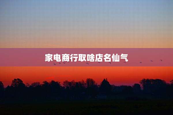 家电商行取啥店名仙气