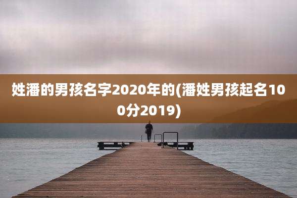 姓潘的男孩名字2020年的(潘姓男孩起名100分2019)