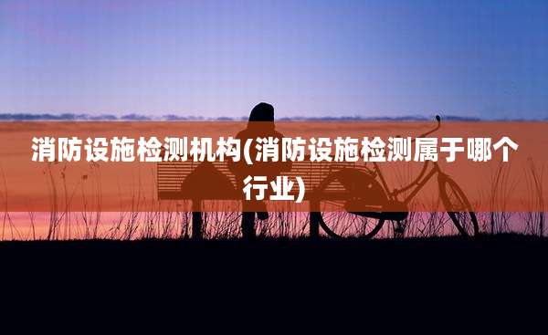 消防设施检测机构(消防设施检测属于哪个行业)