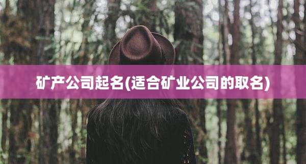 矿产公司起名(适合矿业公司的取名)